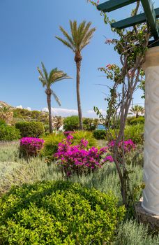 Garden with palm trees, purple flowers and green plants at Kallithea Therms, Kallithea Spring on Greek island Rhodes