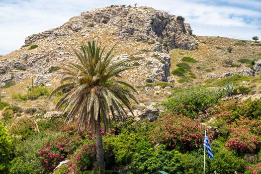 View at landscape with palm tree in foreground and rock in the background at Kallithea Springs on Rhodes island, Greece