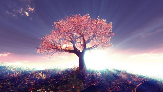 tree spring in meadow sunset illustration, 3d rendering