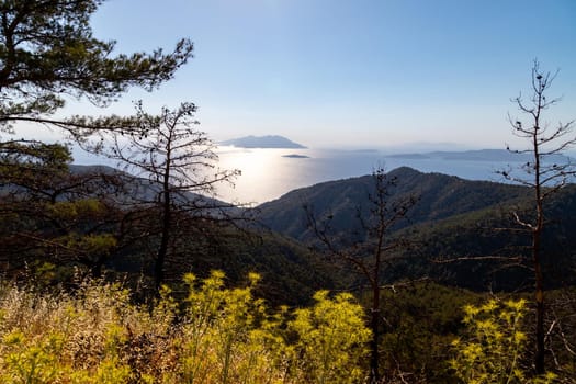 Backlight image from the westcoast near Kritina of Rhodes island with yellow plants, trees and forest in the foreground and the aegaen sea with small islands in the background