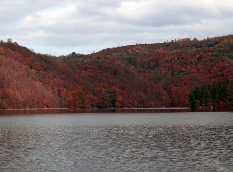 A colorful forest above the frozen lake in autumn