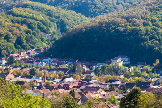 A village with forest nearby