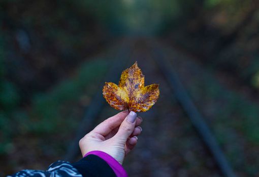 A yellow autumn leaf held in his hand in the direction of the train track
