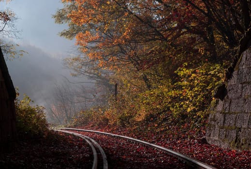 Autumn leaves lying on the rail with autumn colors