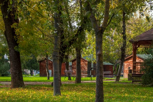 Autumn spread over the park