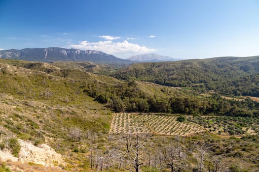 Scenic view at landscape on the westside of Greek island Rhodes with green vegetation in the foreground and mountain range in the background