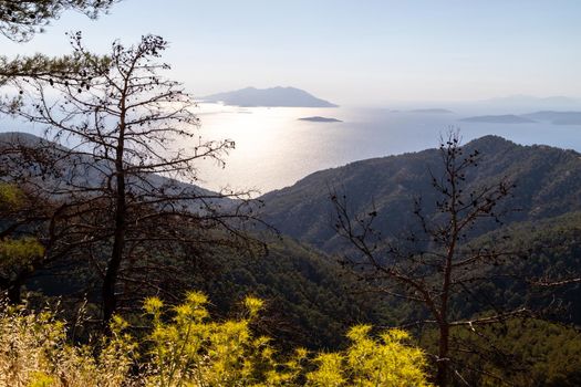 Backlight image from the westcoast near Kritina of Rhodes island with yellow plants, trees and forest in the foreground and the aegaen sea with small islands in the background