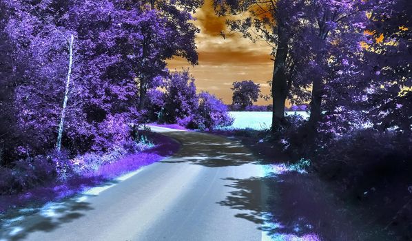 Beautiful purple infrared landscape with a magical look in high resolution