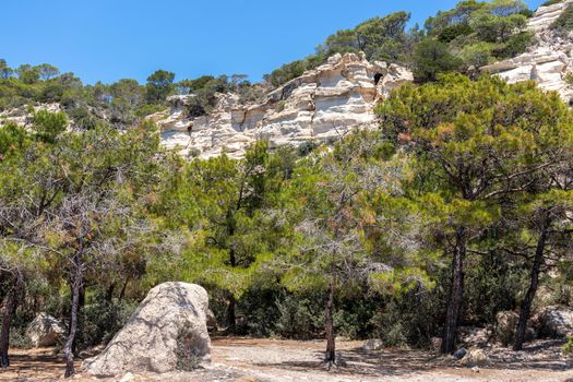 Landscape with green trees an hill with rocks nearby beach Akra Fourni at Rhodes island, Greece 