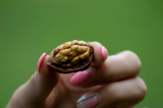 The core of a walnut broken in half