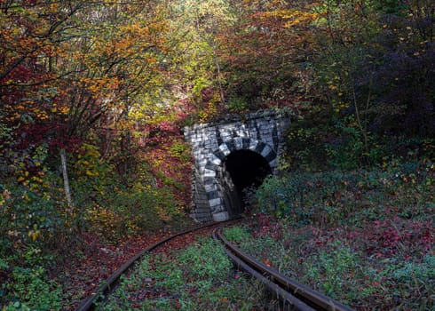 Train line entering a tunnel