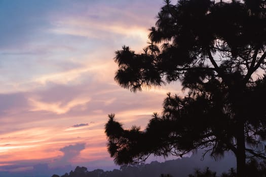 the top of the hill on evening sunset