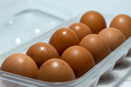 Eggs in a plastic formwork