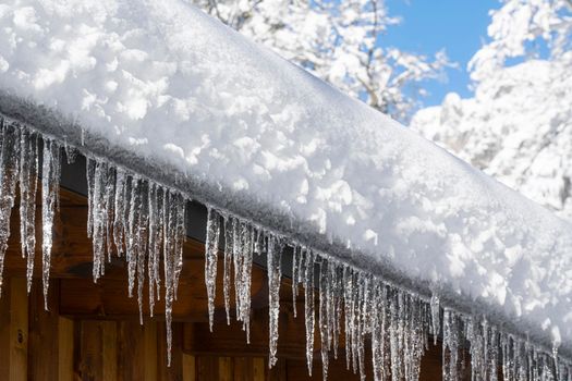 Snow icicles falling from a snowy roof in winter