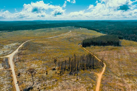 Aerial view of a cleared open field affected by bushfire in the Central Tablelands in regional New South Wales in Australia