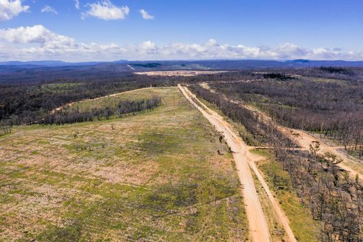 Aerial view of a dirt road running through a forest affected by bushfire in the Central Tablelands in regional New South Wales in Australia