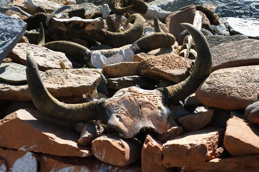 A bunch of cow skulls. Carving on the bone and on the horns.