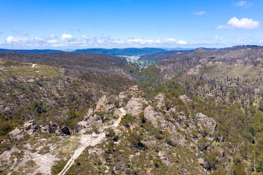 Aerial view of forest regeneration after bushfires in a large valley in the Central Tablelands in regional New South Wales in Australia