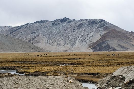 Mountains of the Himalayas, young beautiful high mountains of Tibet.