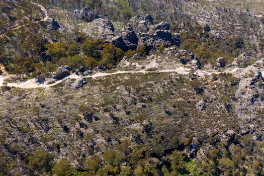 Aerial view of forest regeneration after bushfires in a large valley in the Central Tablelands in regional New South Wales in Australia