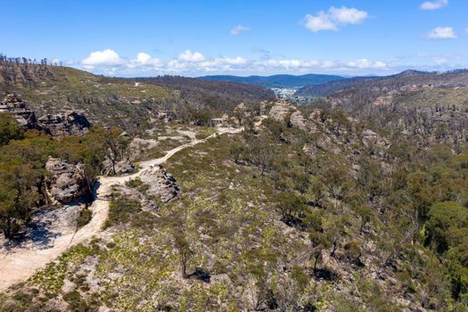 Aerial view of forest regeneration after bushfires in a large valley in the Central Tablelands in regional New South Wales in Australia