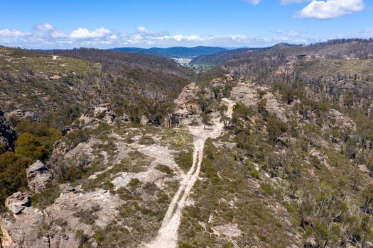 Aerial view of forest regeneration after bushfires in a large valley in the Central Tablelands in regional New South Wales in Australia