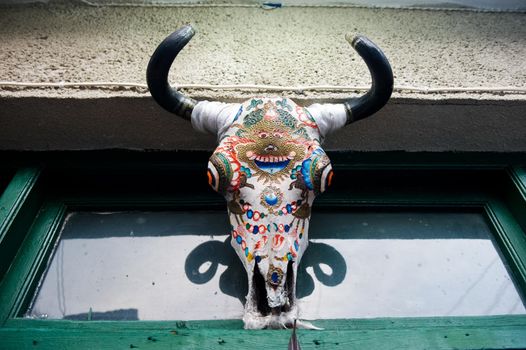 The painted skull of a cow. The sicting on the bones of the skull.