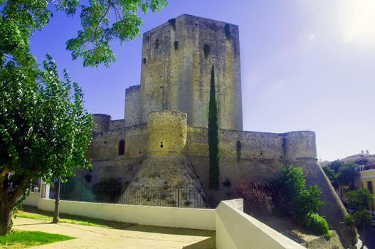 View on the cubic castle and green trees, summer day, Spain