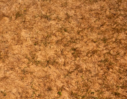 Brown desert ground with dry grey grass, morning, summer, Spain