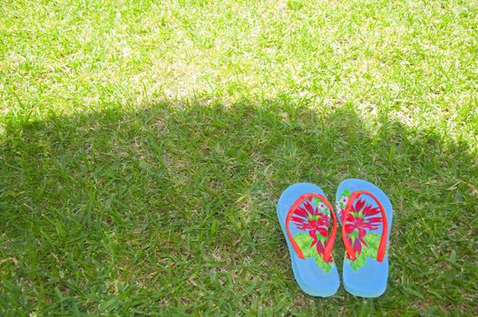 Summer flip flops in the shadow on the  green grass