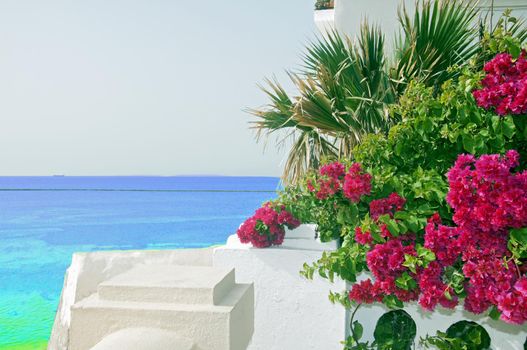 Purple flowers, palm leaves on the wite house and sea view, summer, Spain