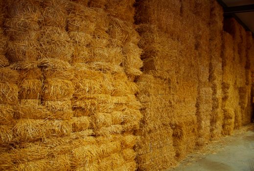 Wall of big packs of hay in the storehouse, Spain