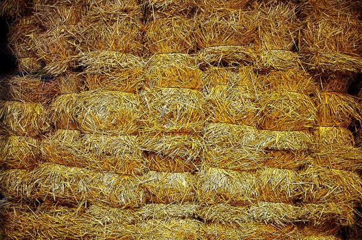 Wall of big bricks of yellow hay, macro