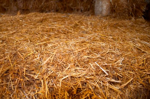 Big brick of yellow dry hay, macro