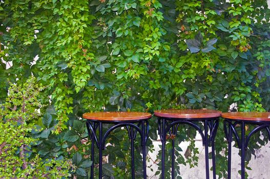 Three round wooden tables with ivy background, open restaurant