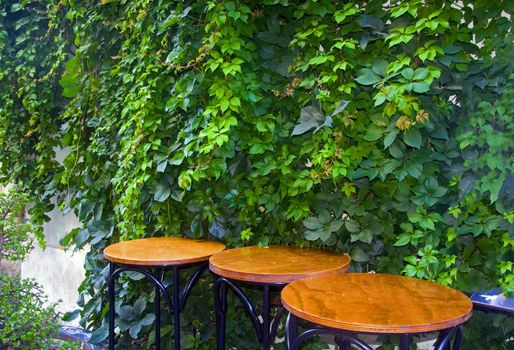 Three round wooden tables with ivy background, open restaurant