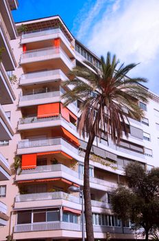 Palm tree in front of high building, autumn