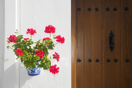 Flowerpot with red flower on the white wall and wooden door, summer, Spain