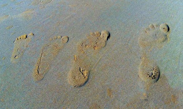 Four footprints in the sand of one family - father, mother and two children