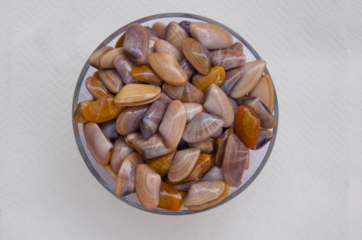 Small multicolored mussels on the glass plate, top view, isolated