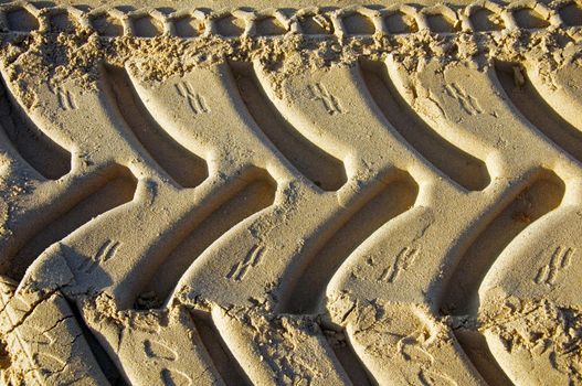 Traces of tyres on the yellow sand, morning, summer