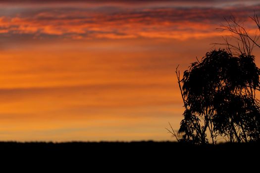 Vibrant red sunset caused by bushfire smoke in the blue mountains in australia