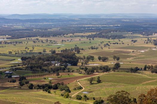 Vineyards and trees in the Hunter Valley in regional New South Wales in Australia