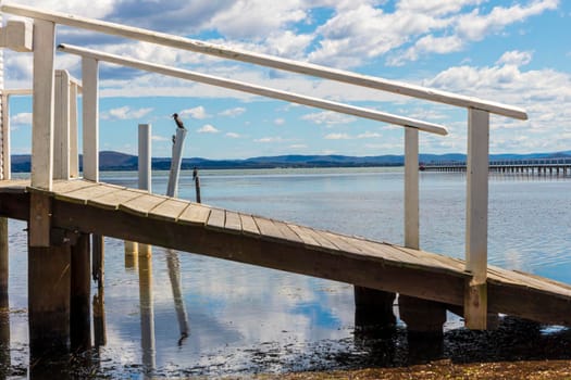 Water birds sitting on old jetty posts in the water near the Long Jetty at The Entrance in regional New South Wales in Australia