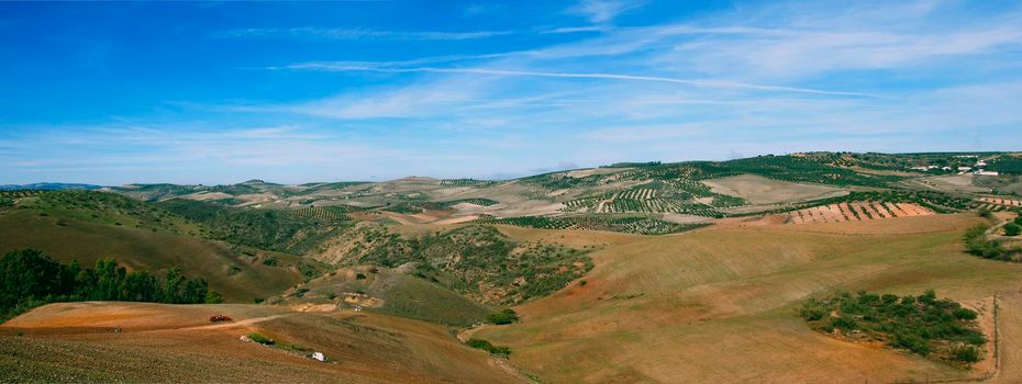 Green panoramic landscape under the blue sky, Spain