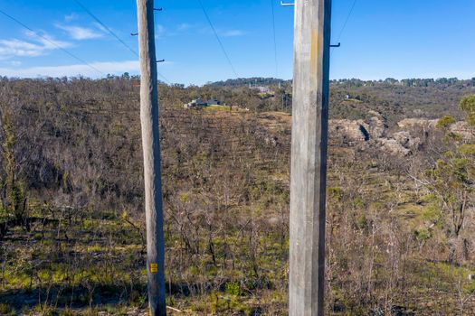 Wooden telephone poles that survived bushfires in The Blue Mountains in New South Wales in Australia