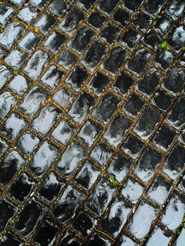 Black bridge pavement after the rain, Baku, Azerbaijan