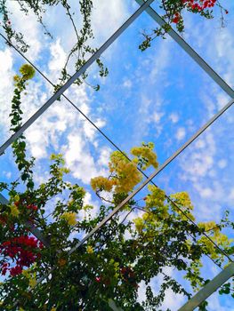 Yellow and red flowers on the grid and sky background