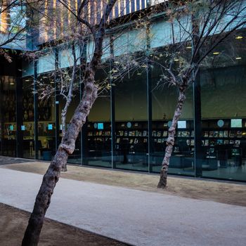 External view of Biblioteca Sant Antoni. The building is located in the Sant Antoni district in Barcelona. A socially dynamic urban project "without separation walls", surrounded by large glass surfaces. Tilted trees and the reading room of the library in background.