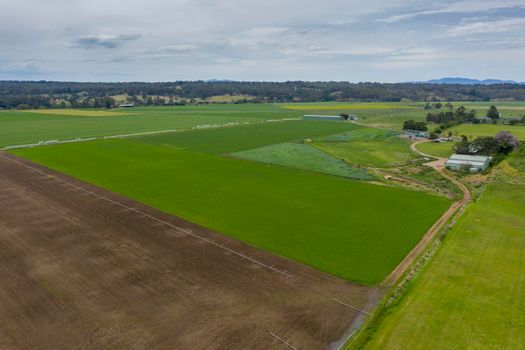 Aerial view of green farmland in the Hunter Valley in regional New South Wales in Australia